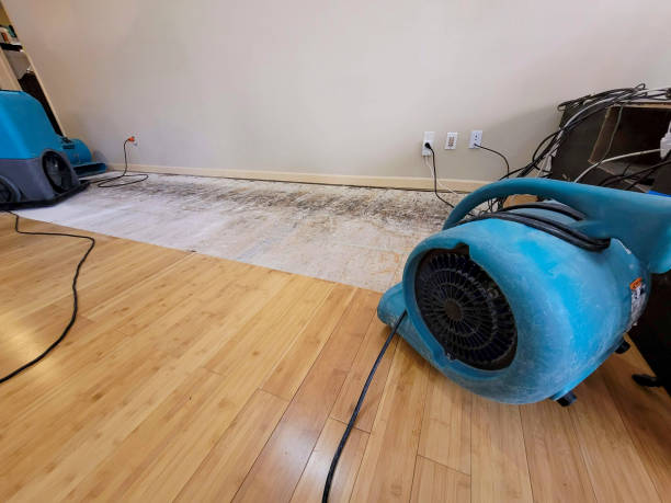 Professional Flood Damage Cleanup technician working in Fruitland, NC
